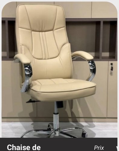 Chaise de bureau