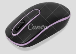 Souris